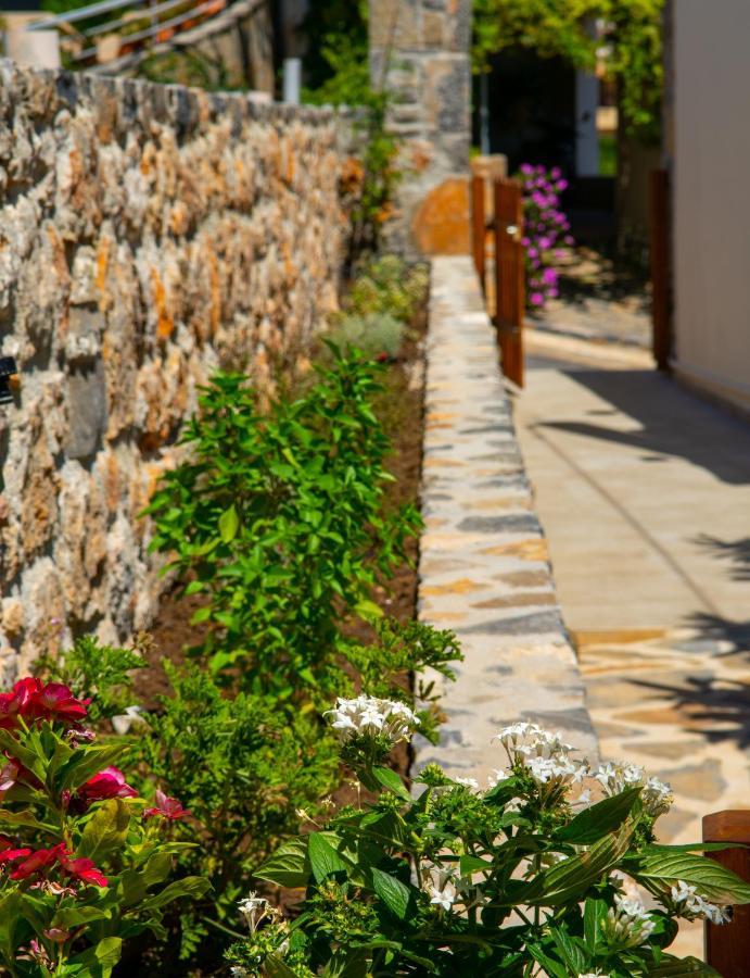 Eleni'S Cozy House Villa Ayos Nikolaos Dış mekan fotoğraf